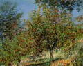 シャントムルの丘のリンゴの木 クロード・モネ